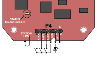 IPSub Connections 2.PNG