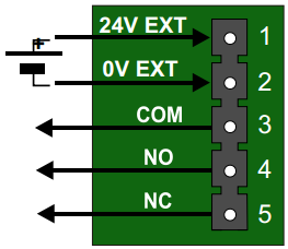 TCIS Connections 5.PNG