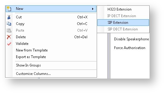Sip extension 1.jpeg