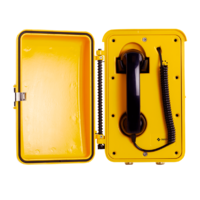 (IPHDT-DY, 1008472220)