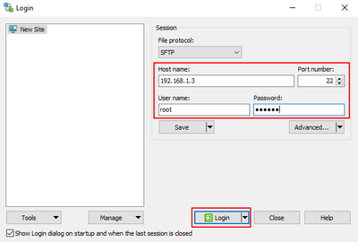 DVA WinSCP Connect.png