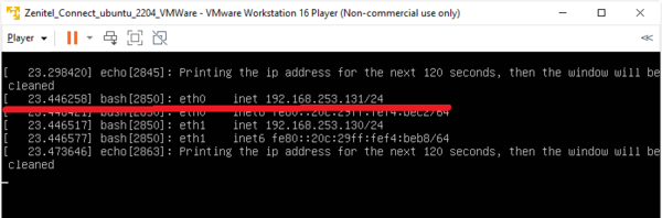 VMware virtual connect network settings screen cropped.png